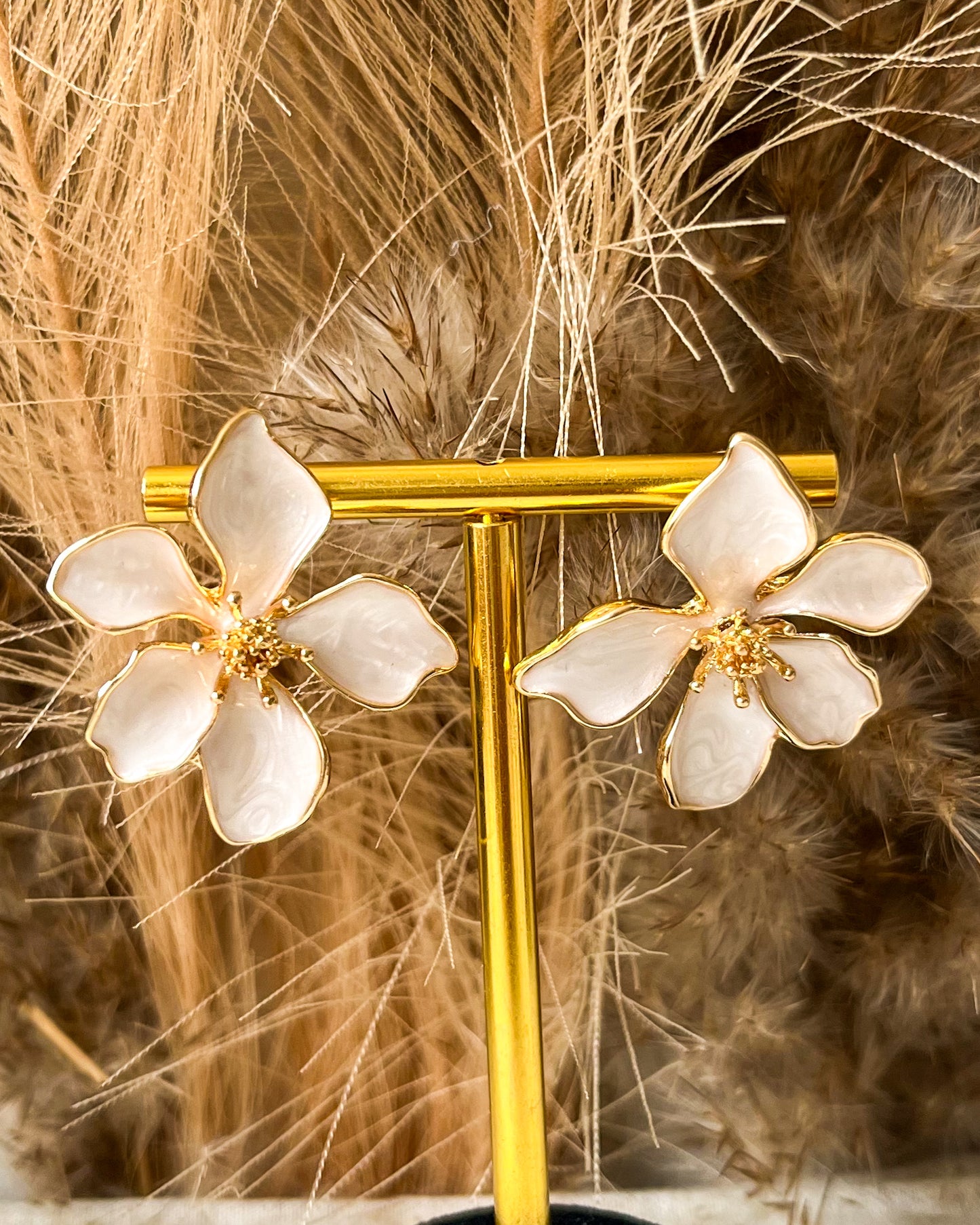 Boucles Coco