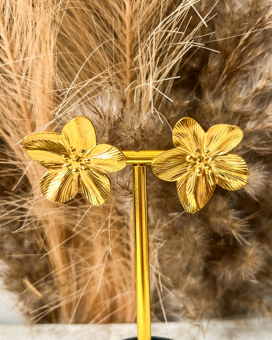 Boucles Cornélie