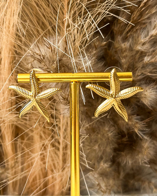 Boucles Nyx